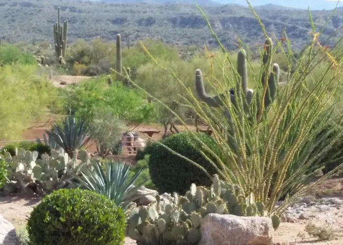 Apartment Rio Rancho Two Bedroom Scottsdale
